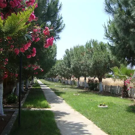 Otel Koru Club 4*