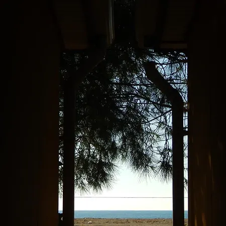 Koru Club 4*